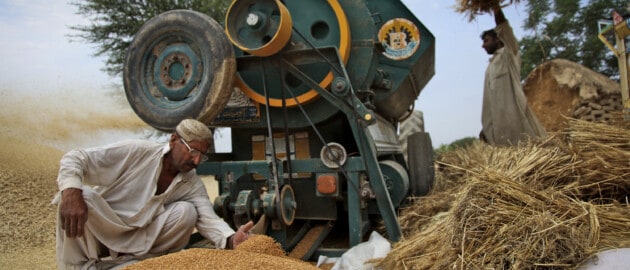 Food Fortification Program (FFP) Pakistan