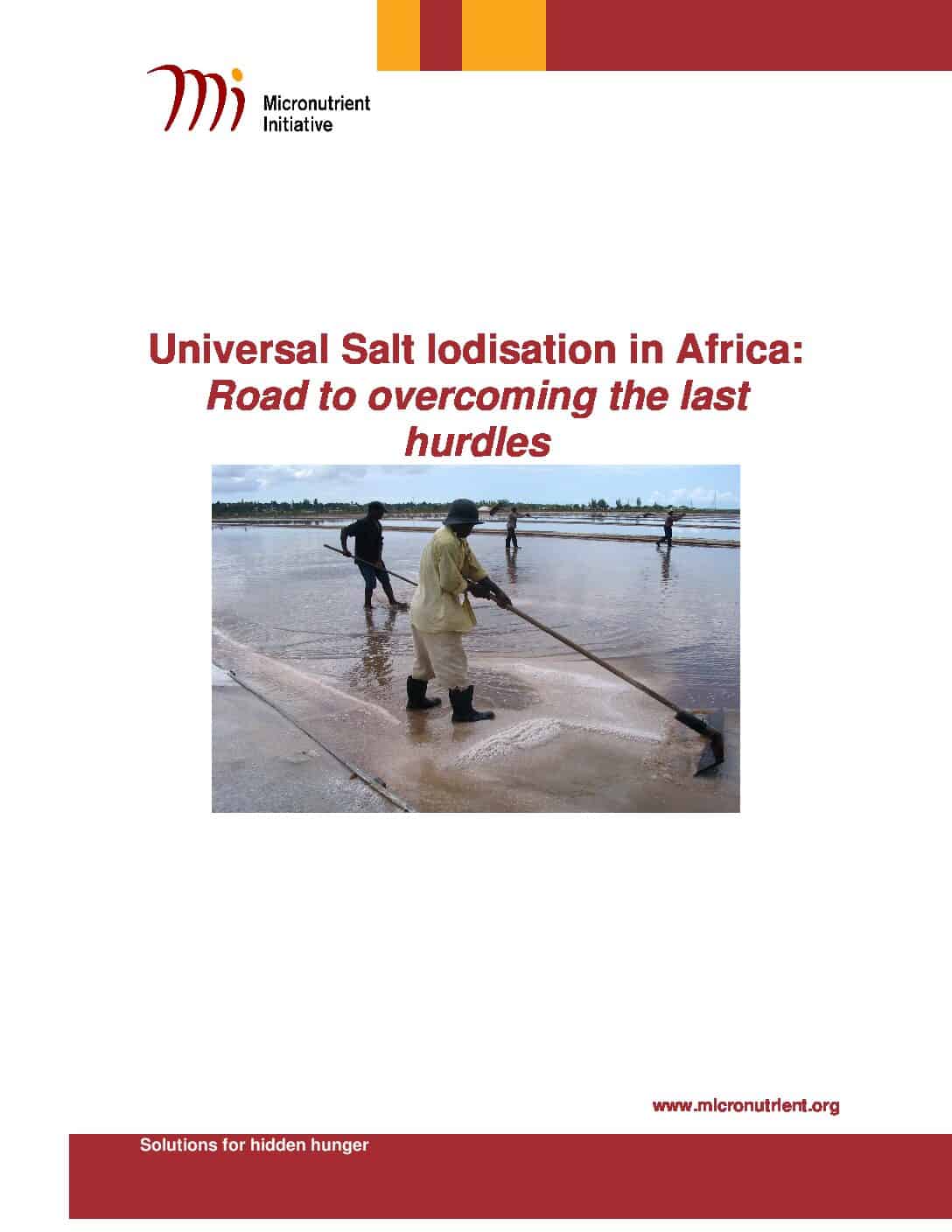 Universal Salt Iodisation in Africa: Road to overcoming the last hurdles thumbnail