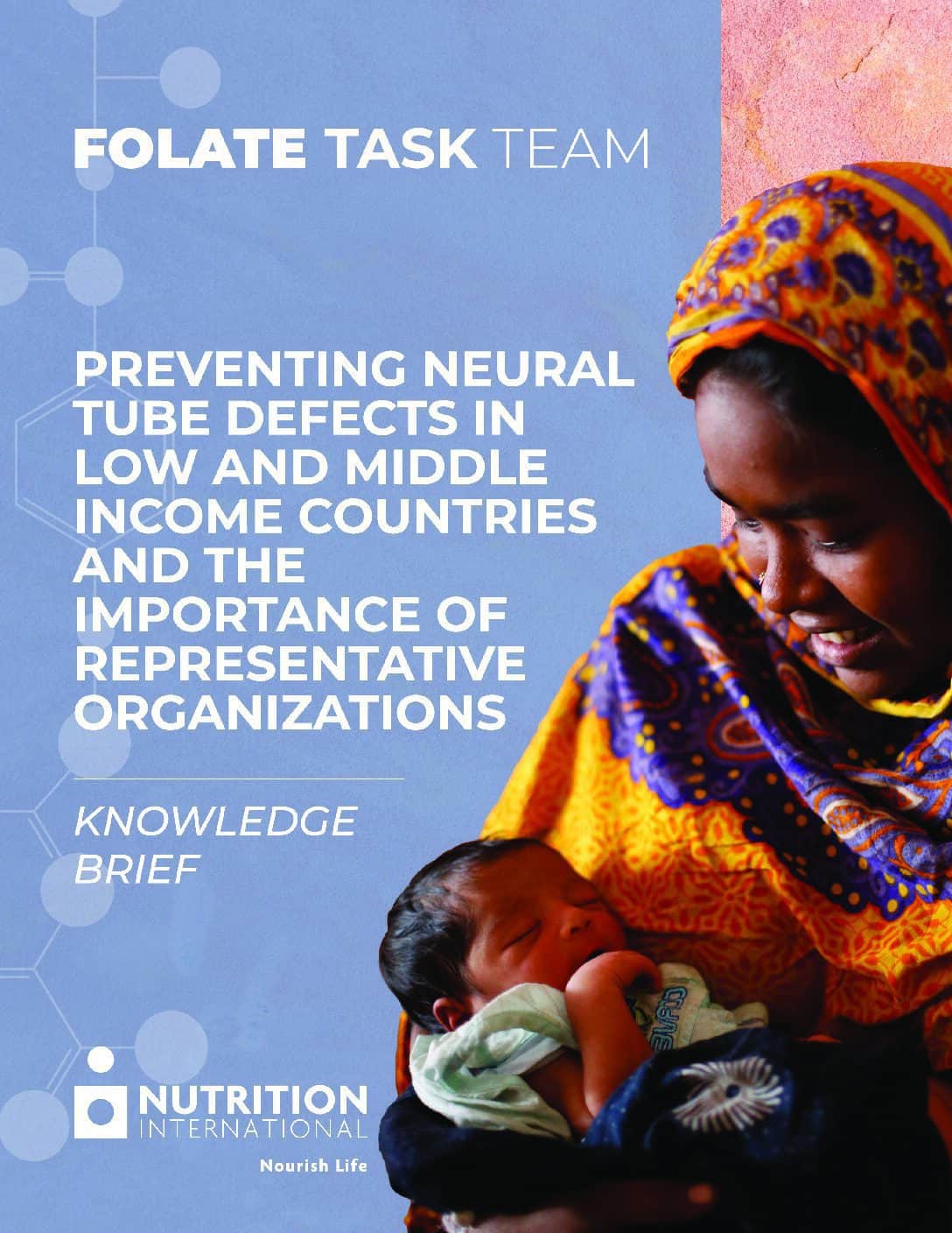 Knowledge Brief – Preventing neural tube defects in low and middle income countries and the importance of representative organizations thumbnail