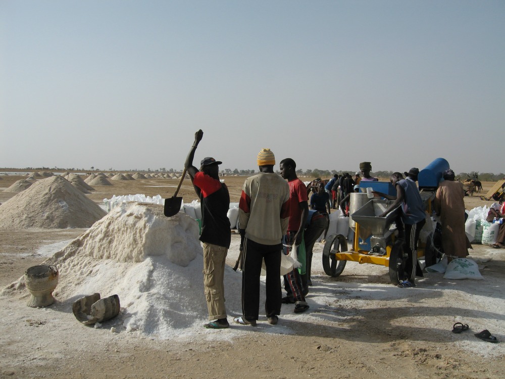 Senegal is West Africa's largest salt producer, meeting the salt needs domestically and regionally. MI supports salt producers in Senegal to adequately iodize their salt. 