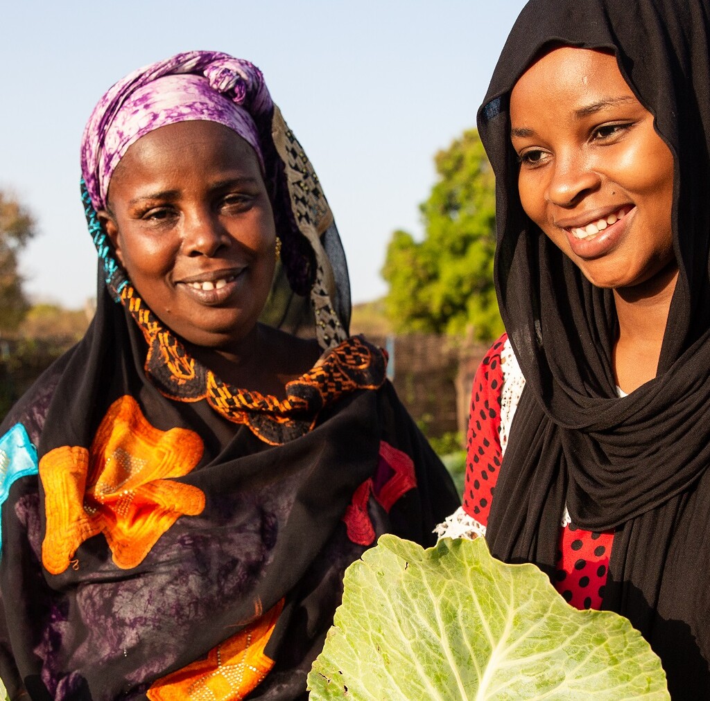 Image of Technical assistance supporting the African Development Bank