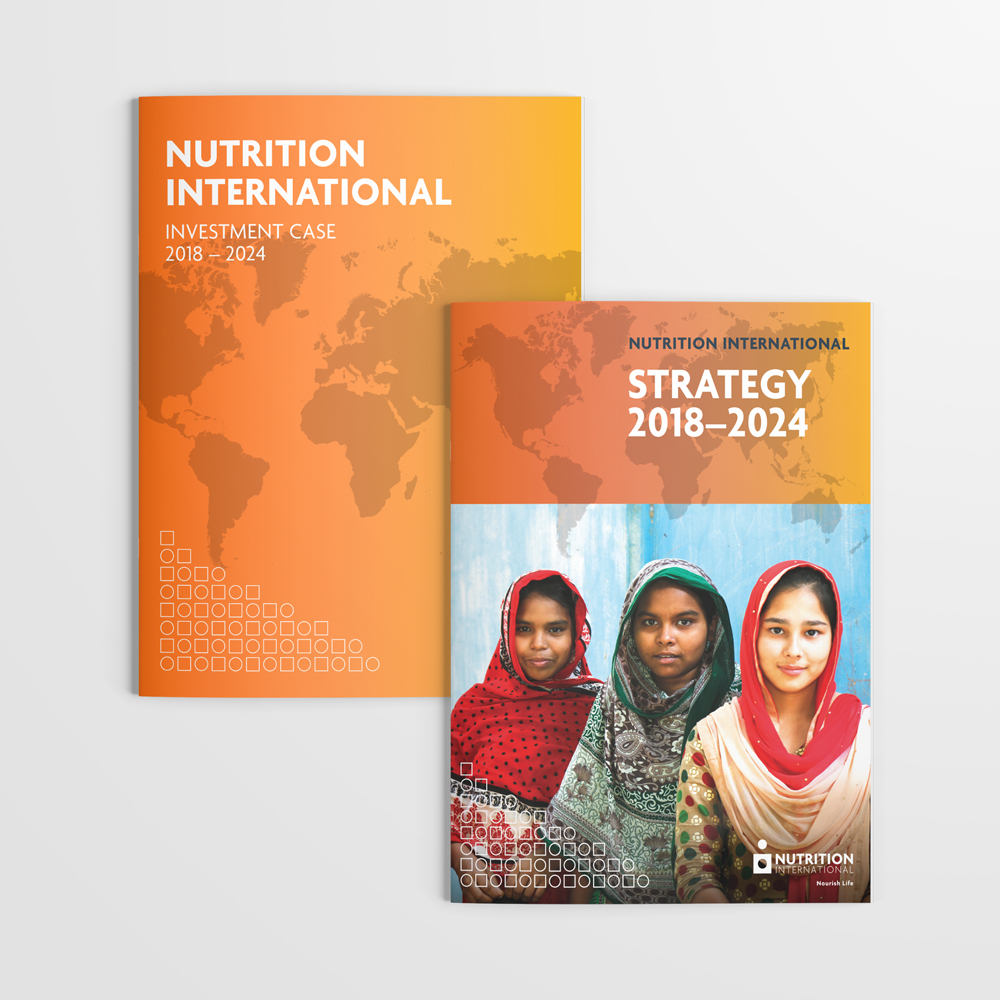 Image of Nutrition International's Investment Case and Strategy