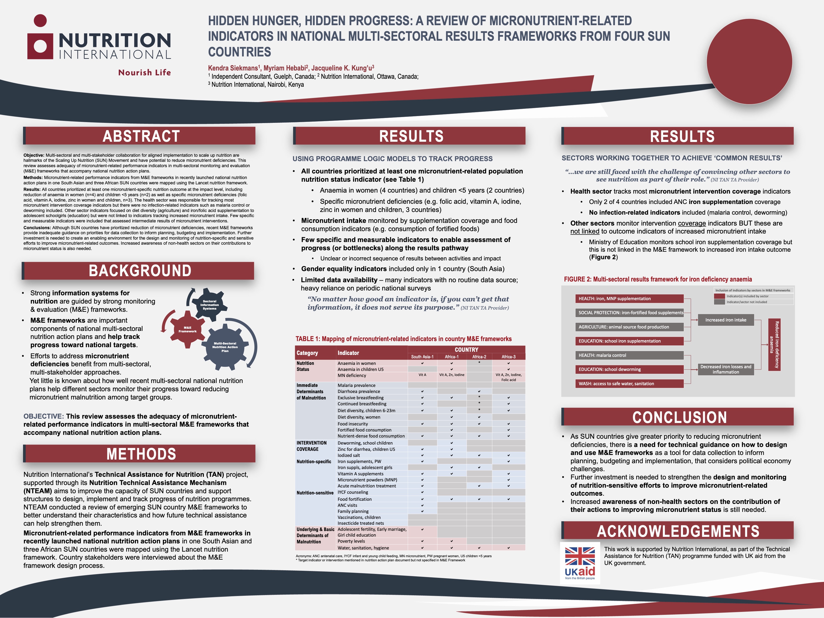 Hidden Hunger, Hidden Progress: A Review of Micronutrient-related Indicators in National Multi-sectoral Results Frameworks From Four SUN Countries thumbnail