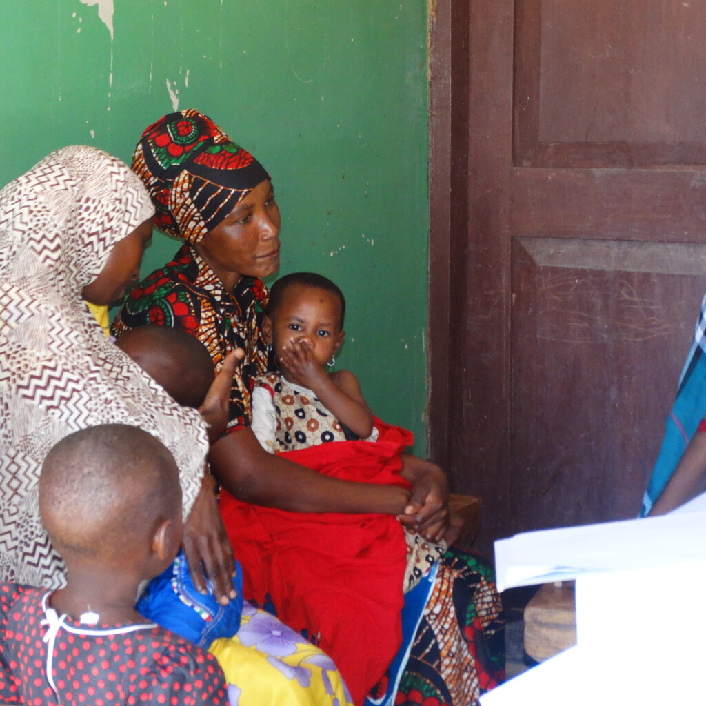 Image of Improving nutrition in Tanzania through technical assistance