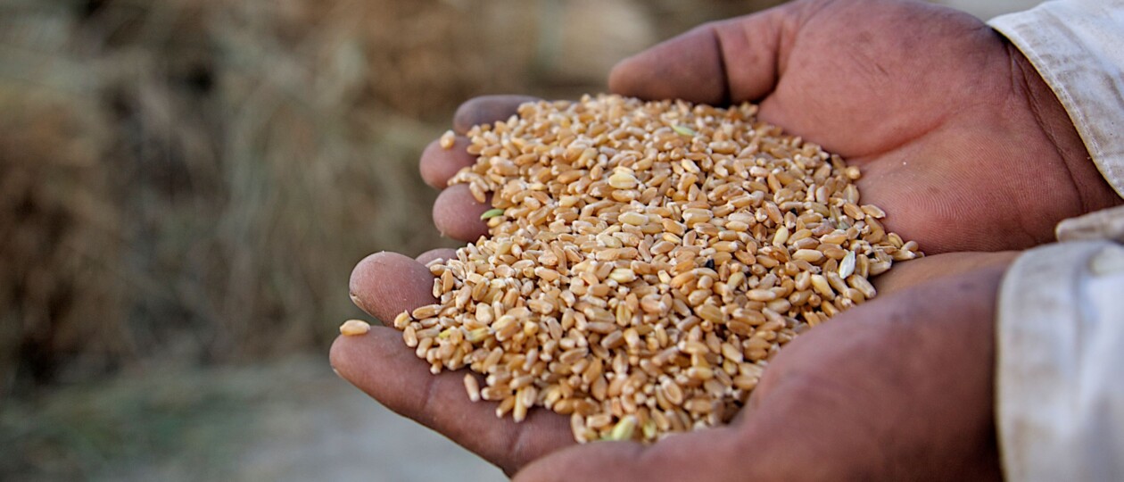 USAID Advancing Food Fortification to Reinforce Diets