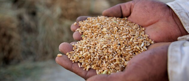 Children receiving vitamin A supplements as part of Malezi Bora in Kenya.