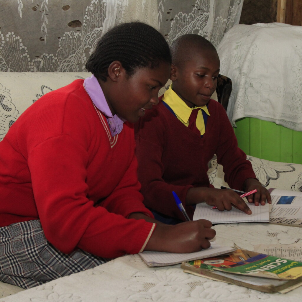 Image of Community health volunteer supports adolescent nutrition