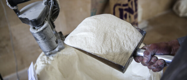 hand holding spade of wheat flour in Pakistan