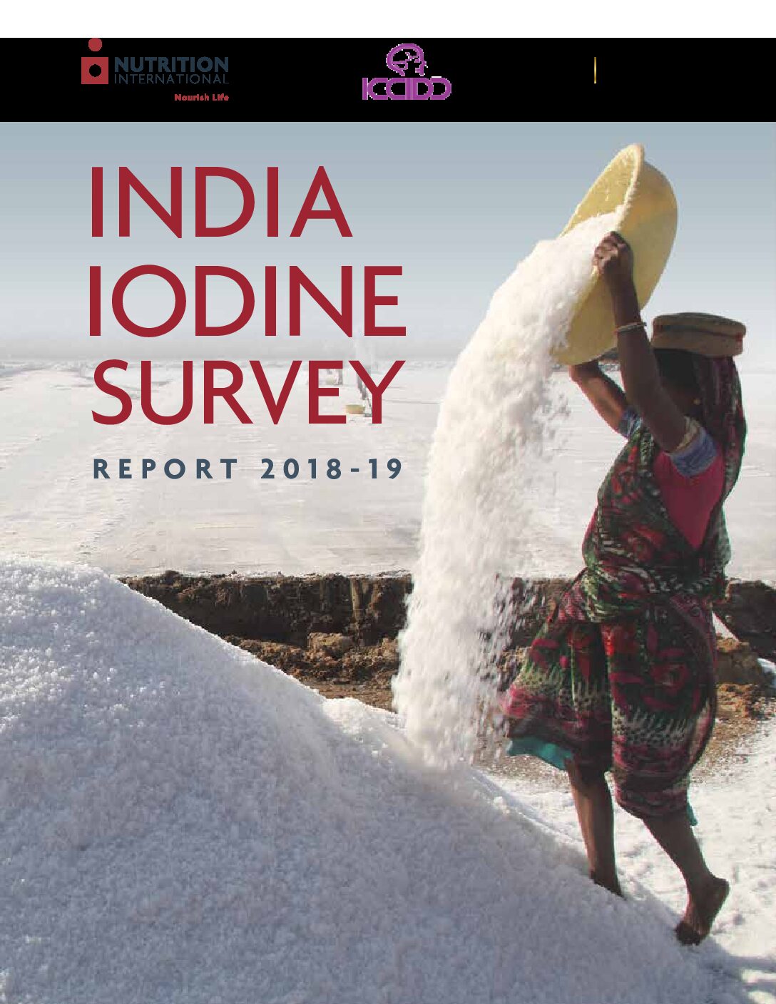 India Iodine Survey, 2018-19 thumbnail