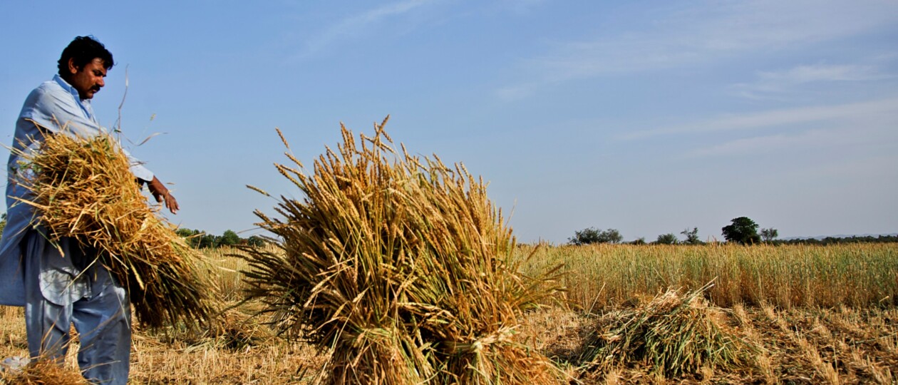 Nutrition International applauds the Government of Sindh, Pakistan for its new mandatory food fortification law