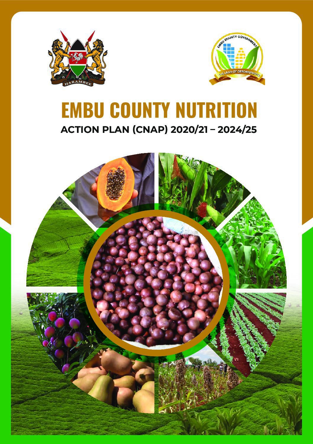 Embu County Nutrition Action Plan 2020/21 – 2024/25 thumbnail