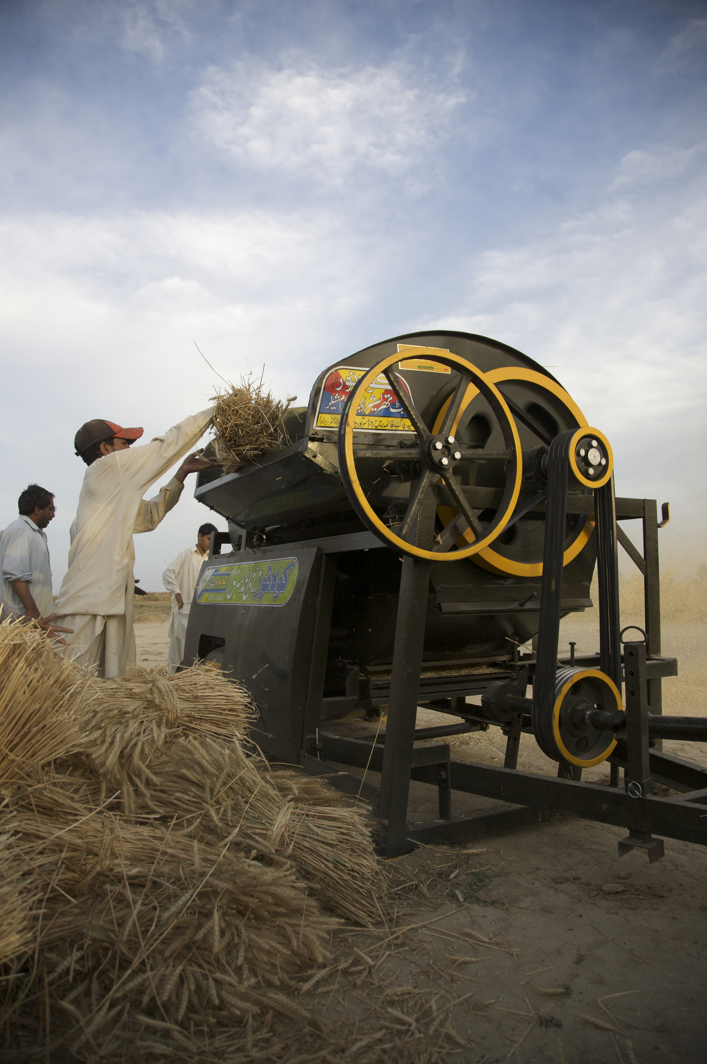 A man loads wheat into a machine sitting in the middle of a field on a clear day.