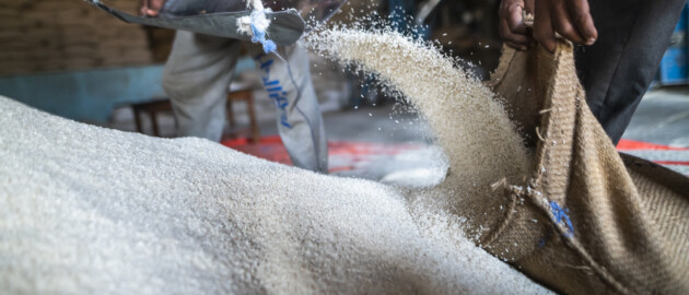 Technical assistance on large-scale food fortification in Indonesia