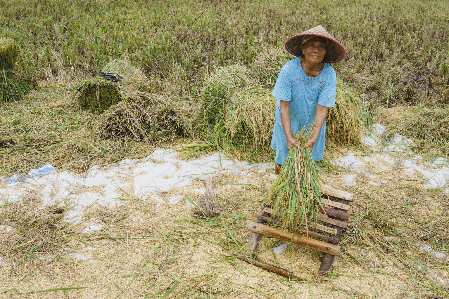 Two men holding bales of wheat walk toward camera