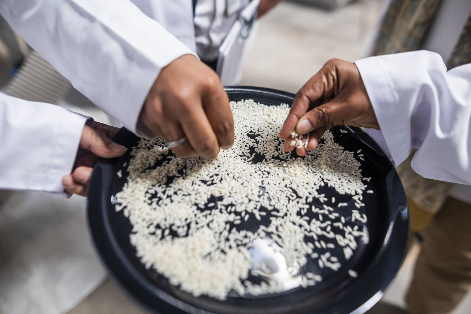 2022 Food Fortification Nutrition International 2022 Food Fortification Nutrition International