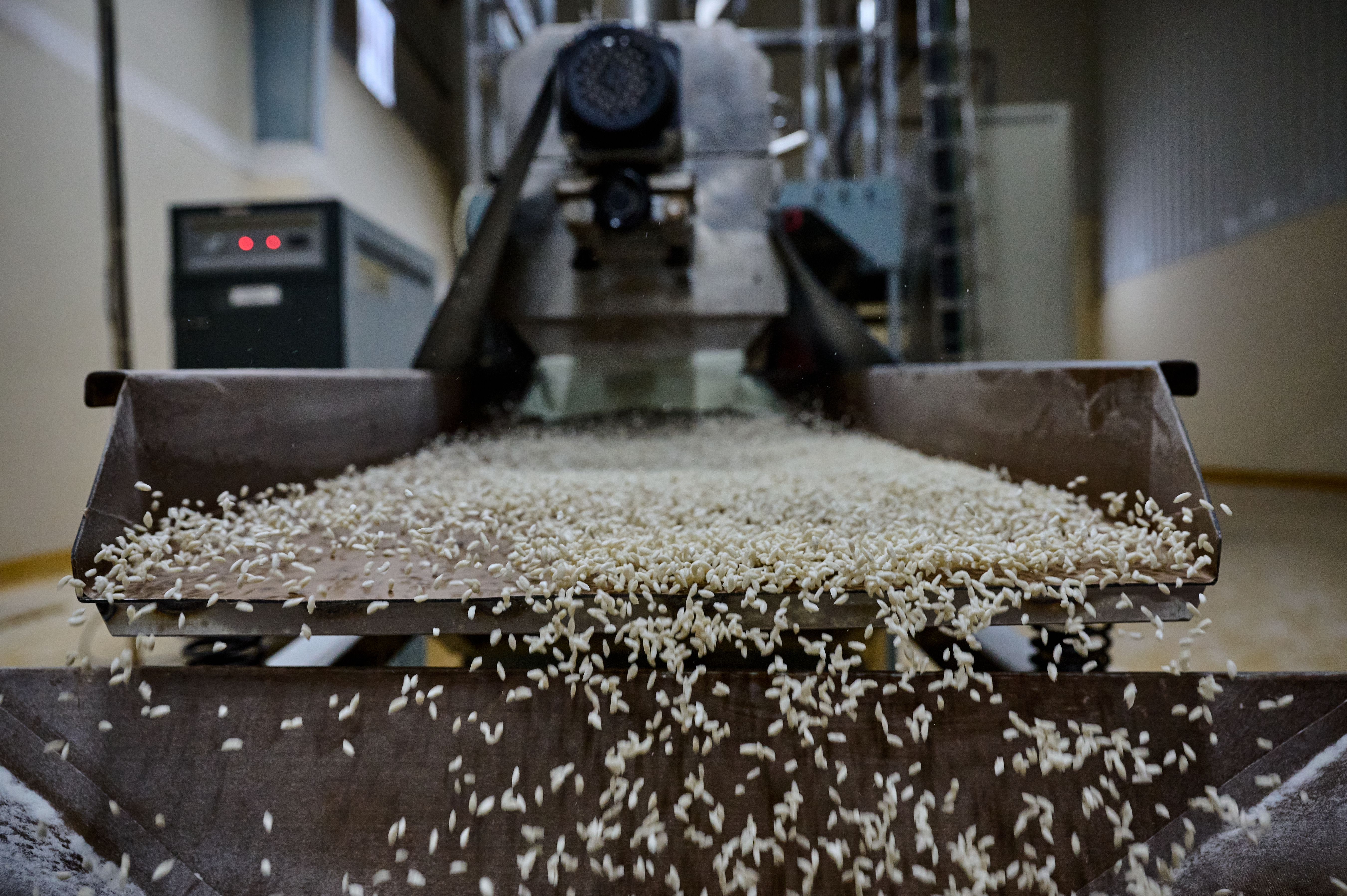 Fortify rice kernals fly off of a cooling machine in a factory in Bangladesh.