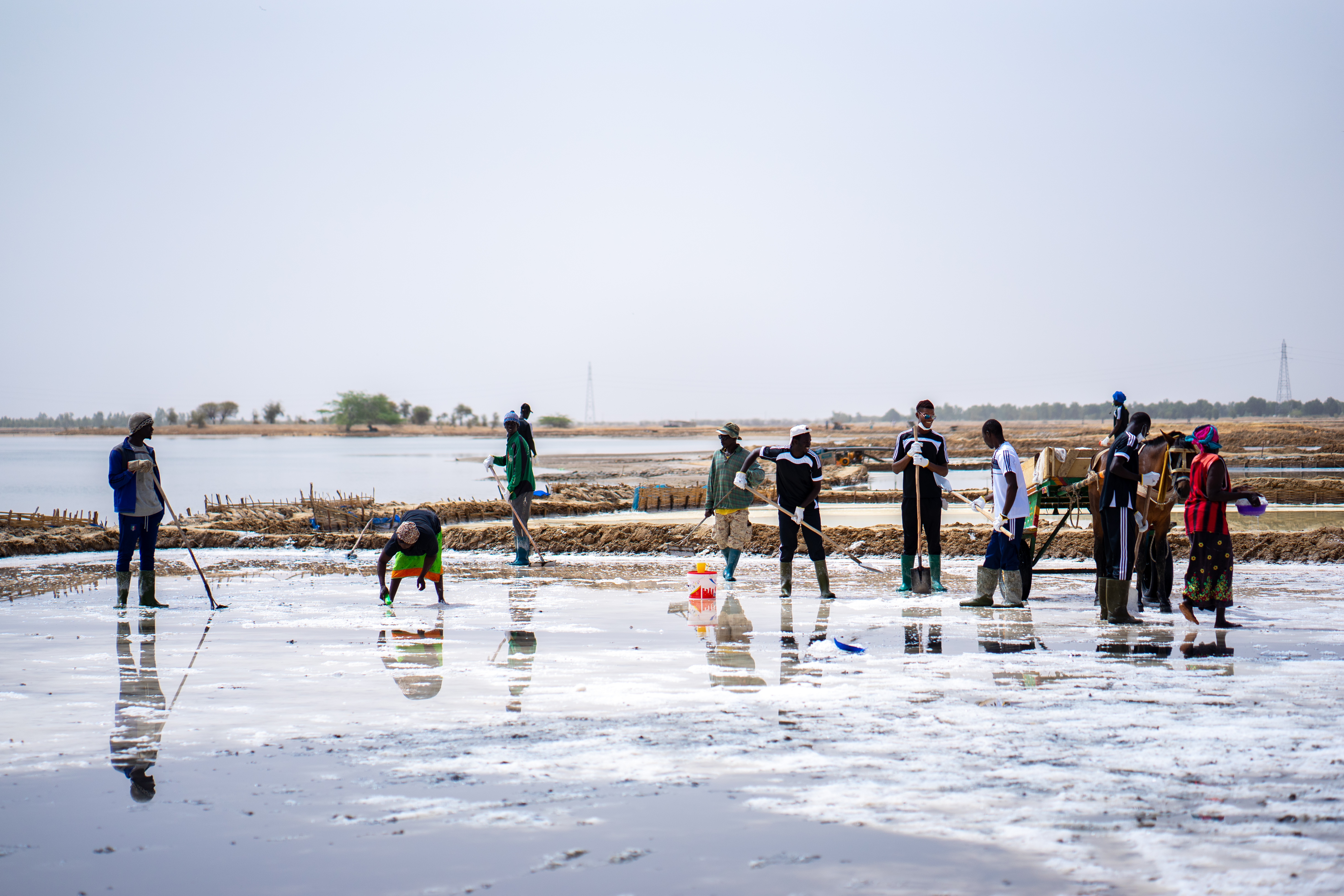 A group do poeple are standing in a salt field.