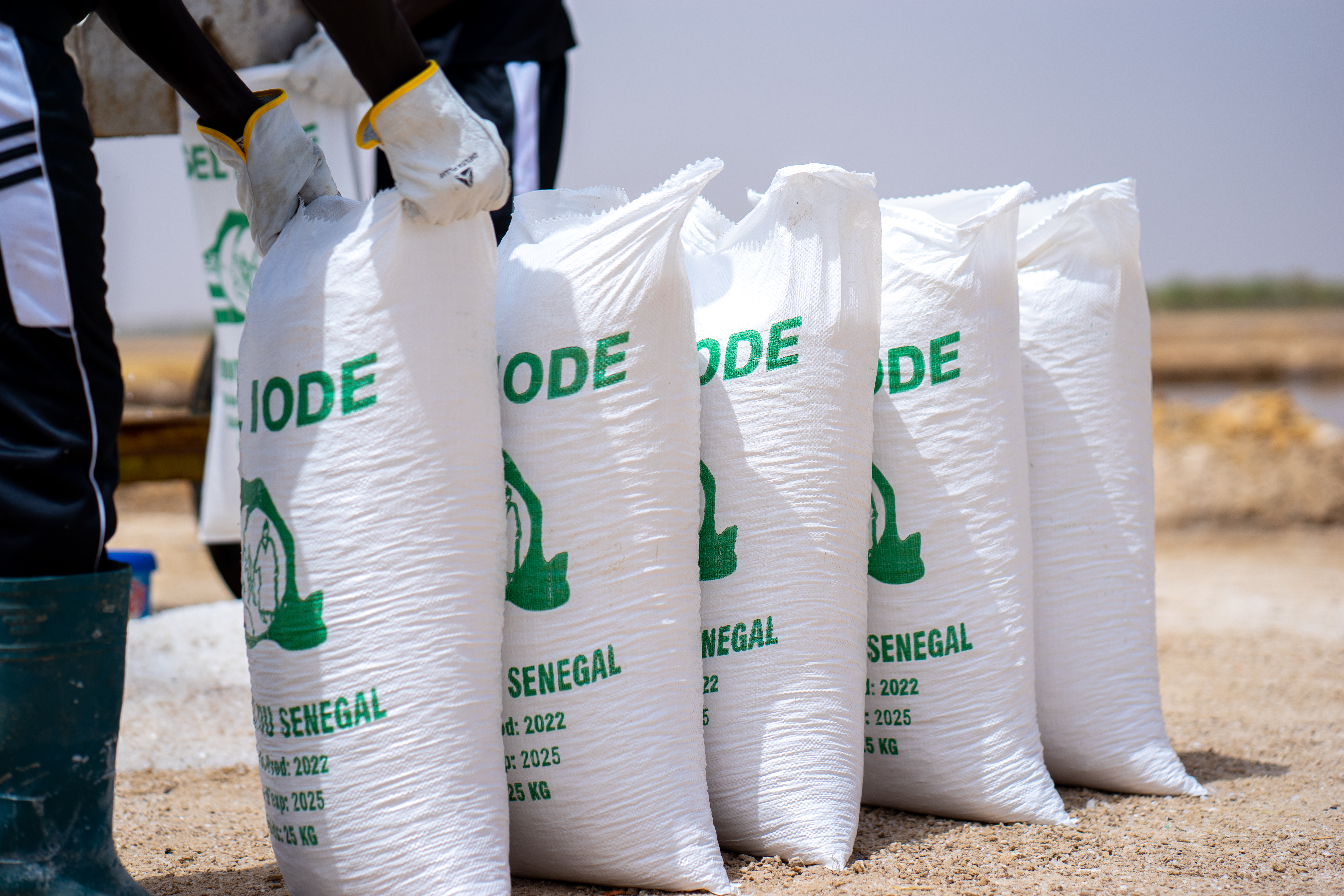 Bags of iodized salt are lined up in a row.