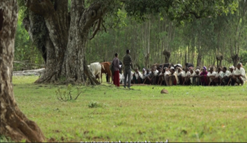 An Ethiopian community group meets outside, under a large tree