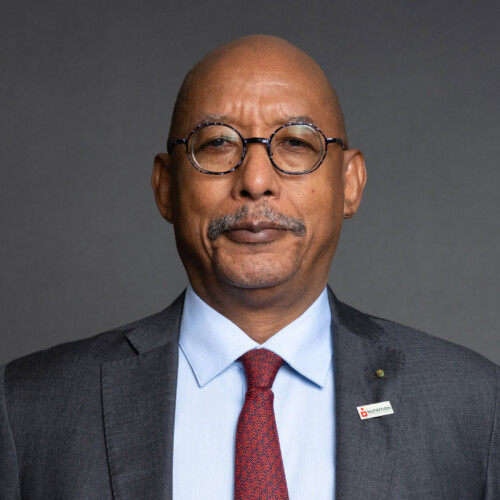 Son Excellence le D<sup>r</sup> Ibrahim Assane Mayaki