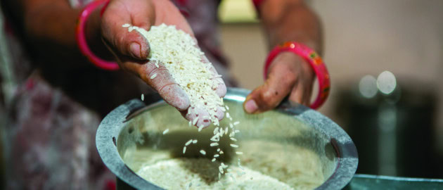 Renforcer l’accès des populations aux micronutriments importants